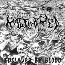 Malformed (MEX) : Enslaved By Blood